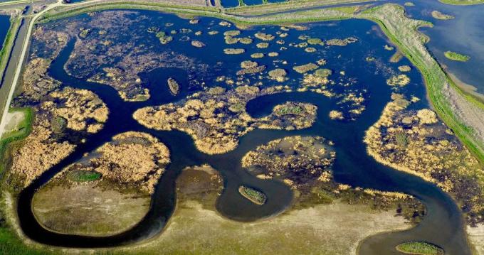 Created wetland