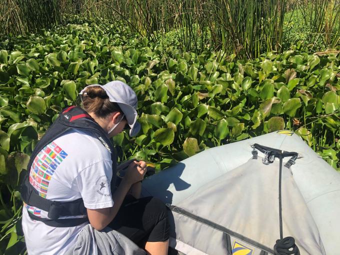 Researcher on boat in Delta waterway