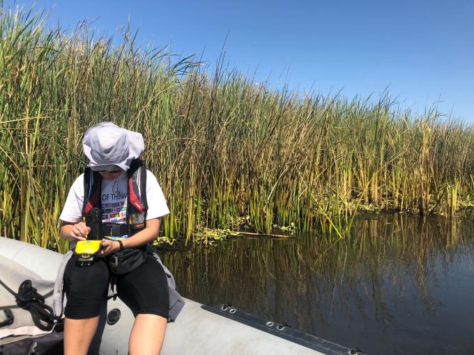 Researcher on boat in Delta waterway