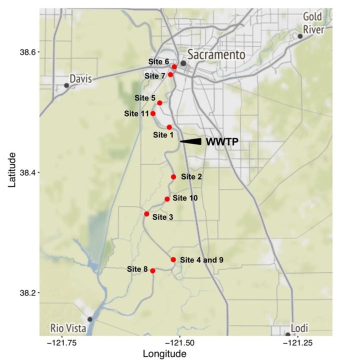 Sampling locations on the Sacramento River