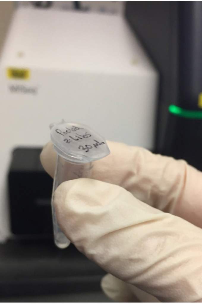 In the end it all comes down to DNA in a tube. The liquid in this tube was processed with DNA sequencing technology to recover millions of DNA sequences that can be traced back to the diets of the larval fishes in this study. - M. Jungbluth