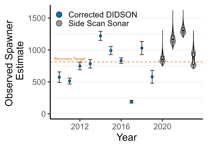 A violin plot of the numbers of spawners seen in the survay form 2010 to 2023.