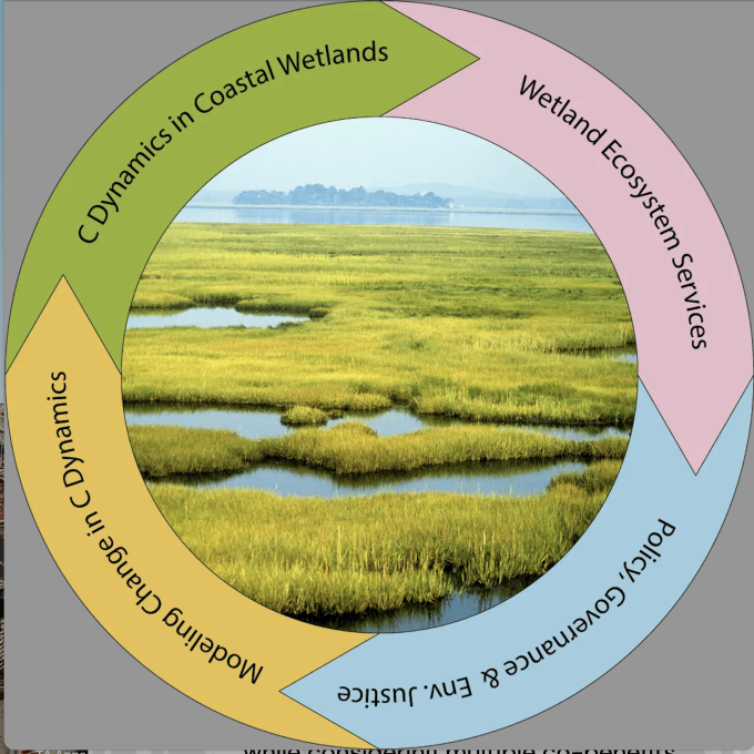 Logo of Coastal Wetland Restoration Research Project