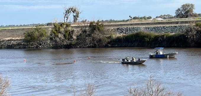 Kodiak trawl monitoring in the San Joquin River at Mossdale