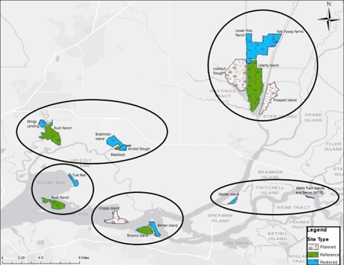 FRP restoration sites and associated reference sites in different regions of the estuary where sampling will occur in 2026.