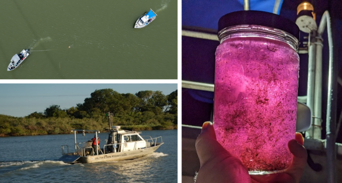 Top Left: Research Vessel Beowulf underway in the San Francisco Estuary in 2023. Bottom Left: Co-sampling with Department of Water Resources in 2025.  Right: A sample jar from a night collection in 2024.